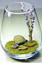 owl【植物神经】童话再造，DIY微景水晶球. 买一个玻璃瓶，使用一些新鲜的苔藓或者干燥的苔藓也可以，还有其他的一些植物，小石块，野花，还有可爱的小人，放在玻璃瓶里，就能变成一个微型的童话世界。