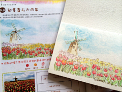 Windtrace采集到飞乐鸟寻找100个爱画画的伙伴 Windtrace