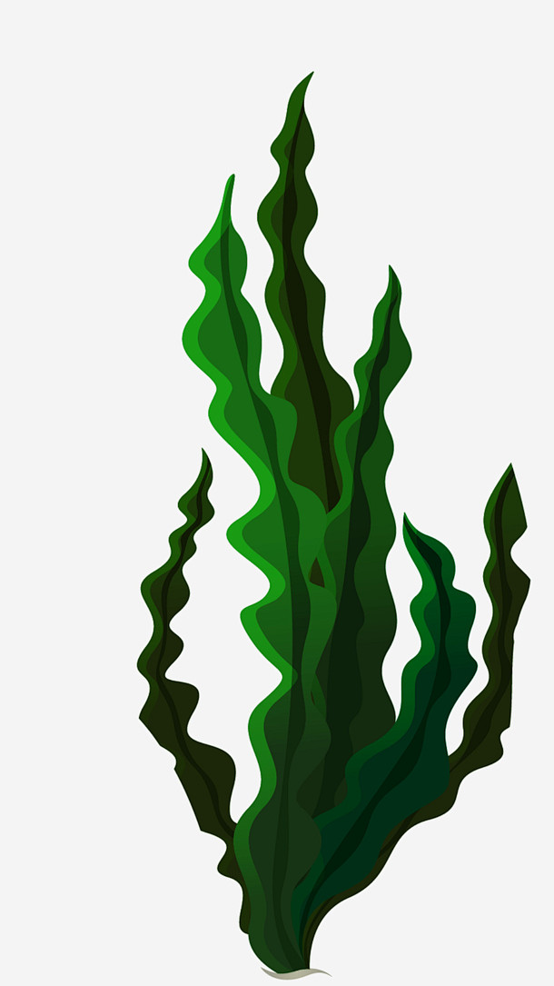 海洋生物舞动的海草