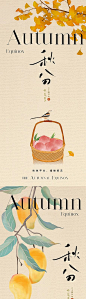 【仙图网】海报 房地产 二十四节气 秋分 桃子 银杏 系列|1024894 