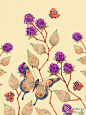 #求是爱插画#鸟语花香 by Collen Parker