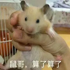 你的表情包来了。。。。