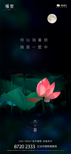海小北采集到素材