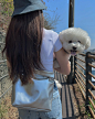 Photo shared by 시니 on April 05, 2023 tagging @av0bari. May be an image of 1 person and Maltese.