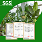sgs