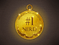 Nr1_nerd_medal