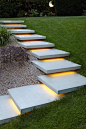 Luxury Modern Landscape Ideas