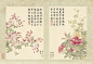 古画-花卉参考