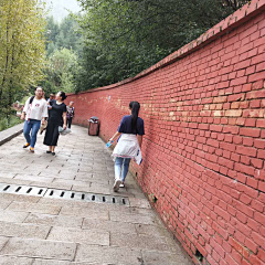 淡淡丫采集到走过路过错过