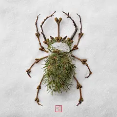 Raku Inoue on Behance
