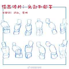 C0nEYHl3采集到胸腔和胯部