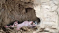 4c9fef1171e1a85f9b0602d2070ac2d7_七猫免费小说_640x360_2024-08-23_427903