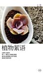 来自相册