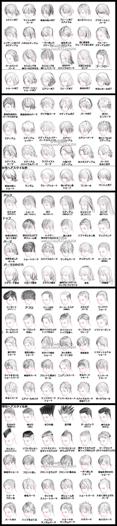 之欢子采集到头发