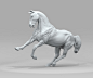 Horse, Steve Lord : Old horse sculpture. zbrush and keyshot