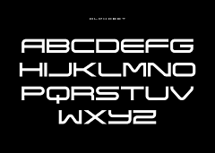 谦之y采集到字体