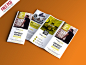 Free PSD :  Professional Trifold Brochure PSD Template