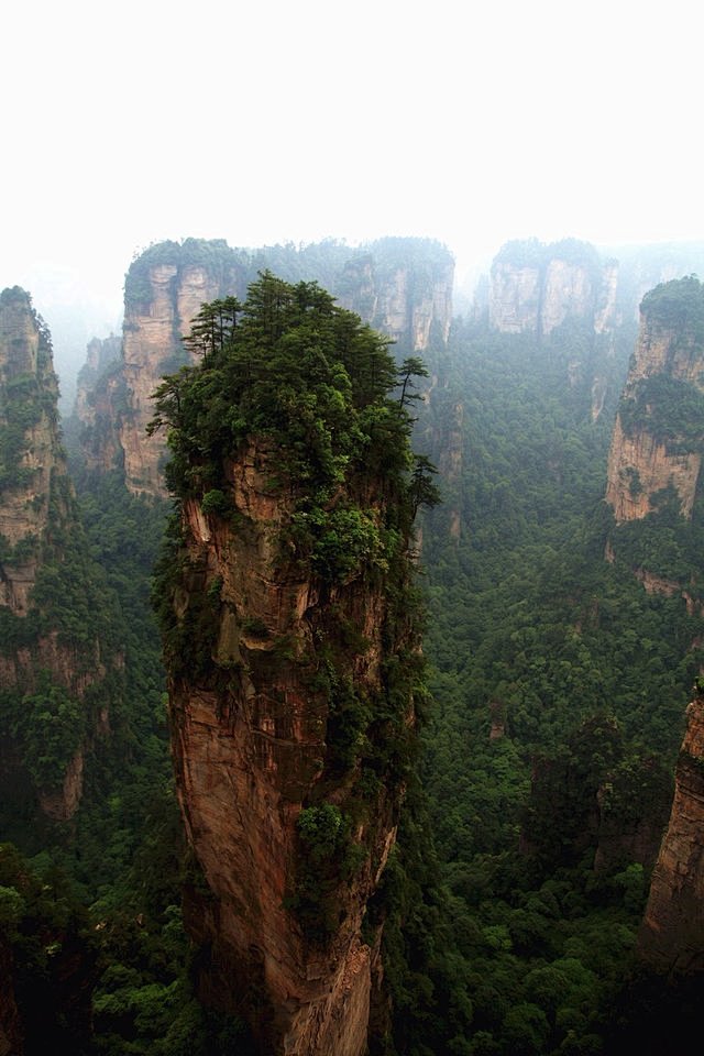 阿凡达场景“悬浮山”,静静小猪