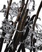 Photo by Prada Beauty on August 11, 2022. May be a closeup of nature.