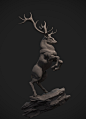Stag Study, Tyler Smith