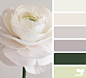 Design Seeds : Design Seeds color palettes ... posted daily for all who love color.