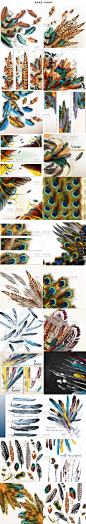 唯美复古孔雀各种鸟羽毛横幅背景图案 EPS矢量设计素材AI165-淘宝网