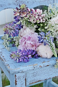 花开花落♪采集到花
