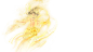 情怀召唤兽：念-大话西游官方游戏设定站—伙伴卷_《大话西游》IP