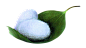蚕茧