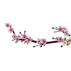 粉色的桃花手绘插画  - 源文件下载【酷图网】粉色,桃花,手绘,插画,卡通,设计,