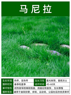 ++N采集到绿化（单体）