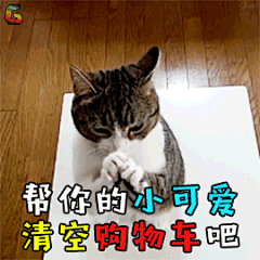 萌宠猫小可爱购物车清空购物车双十一双111111soogifsoogif出品GIF动态图_表情包-SOOGIF