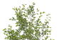 JZ_214