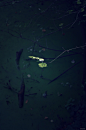 秋意浓-Bettina Güber [12P] (5).jpeg