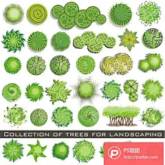 灌木树丛手绘俯视园林景观设计矢量X25  - PS饭团网
