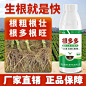 活菌根多多果树蔬菜强力生根壮苗剂生根粉冲施微量元素水溶叶面肥-淘宝网