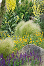 Dry Gardens in England (11 of 21) | Dry Garden at RHS Hyde Hall Gardens, Essex, UK by ukgardenphotos, via Flickr