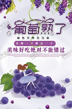 葡萄 【酷图网】葡萄,海报,葡萄上市,提子,葡萄熟了,葡萄采摘,葡萄提子,葡萄红提,葡萄黑提,葡萄广告,葡萄展板,红缇,葡萄采摘节,葡萄海报,葡萄园,摘提子,葡萄庄园,葡萄红酒,葡萄节开幕,有机葡萄,葡萄批发,葡萄节,葡萄农业,生态葡萄,吐鲁番葡萄,进口葡萄,葡萄采摘文化,葡萄采摘活动