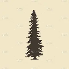 云杉,草图,动物手,华丽的,简单背景,野生动物,环境,公园,剪影,绘制
