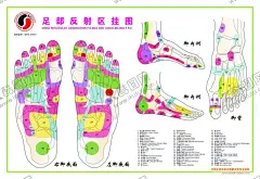 医疗海报 【酷图网】展架展板,宣传栏,宣传单,折页,医院诊所,医生护士,健康卫生,养生调理,整容整形,瘦身减肥,画册,古典艺术,药片药丸,科技研究,体检保险,标语制度牌,医德医风,挂画文化墙
