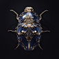 Juwel bug, Sasha Vinogradova : 3d juwel bug
