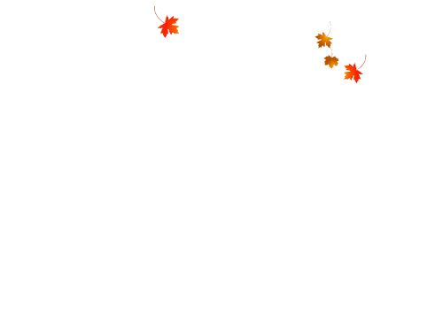500_375gif 动态图 动图