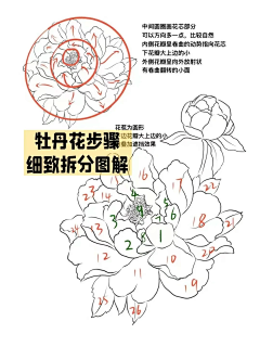 橘叁采集到白描
