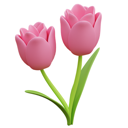 郁金香花 3d 图