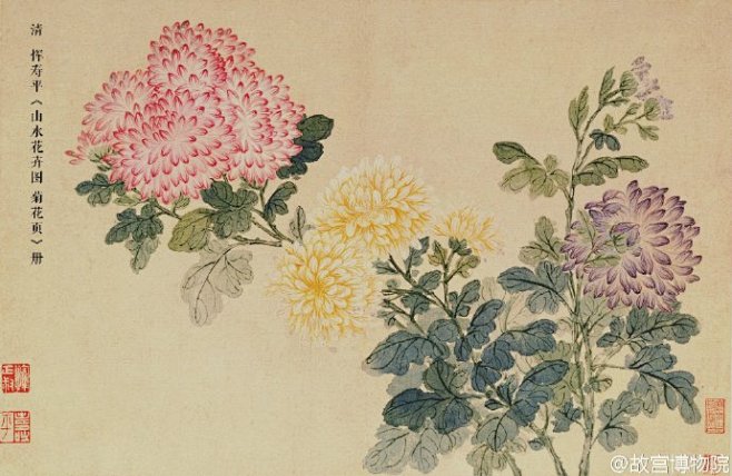 菊花题材的书画藏品