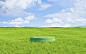 大自然户外草地场景 3D渲染图片下载