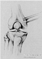 部分固定术矫正成角畸形的膝关节。Partial epiphysiodesis at the knee to correct angular deformity.【论文医学插画欣赏】国内外文献全文可以为您免费传递！QQ 18147895 活动详情见 O网页链接 ★★★ 喜欢 医学插画 医学美图 医学插图 医学美术 医学可视化 医学插画师 医学动画 请关注我。 ​​​​...展开全文c