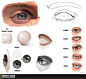 Eye Tutorial Resource by ConceptCookie