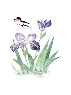 古风花鸟水墨假山插画分享 - 小红书
