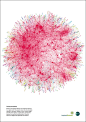 Co-authorship network map of physicians publishing on hepatitis C (proof of print poster) : The poster was created as part of my work at Inspired Science and Ketchum.